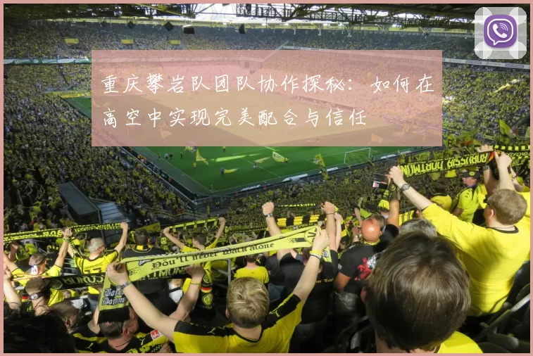 重庆攀岩队团队协作探秘：如何在高空中实现完美配合与信任