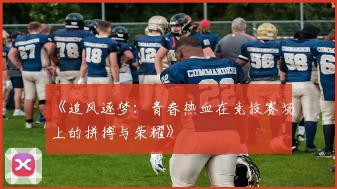 《追风逐梦:青春热血在竞技赛场上的拼搏与荣耀》
