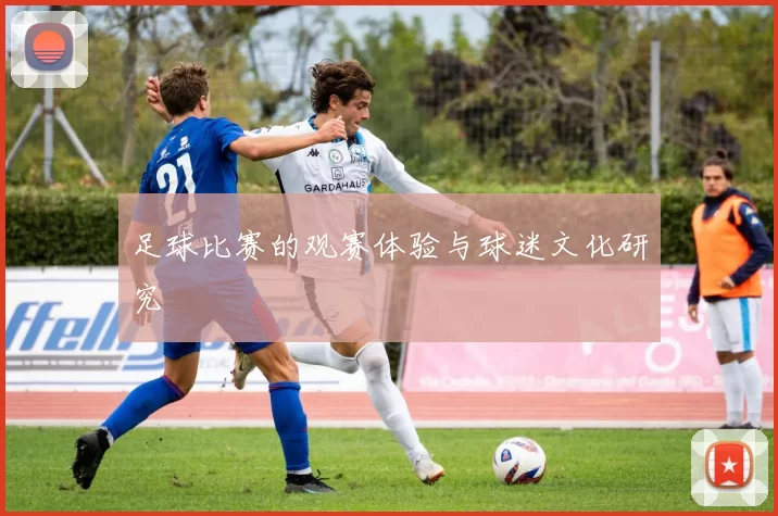 足球比赛的观赛体验与球迷文化研究