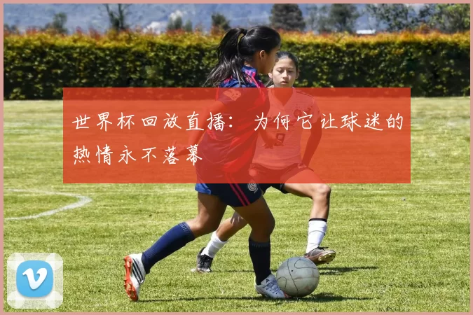 世界杯回放直播:为何它让球迷的热情永不落幕