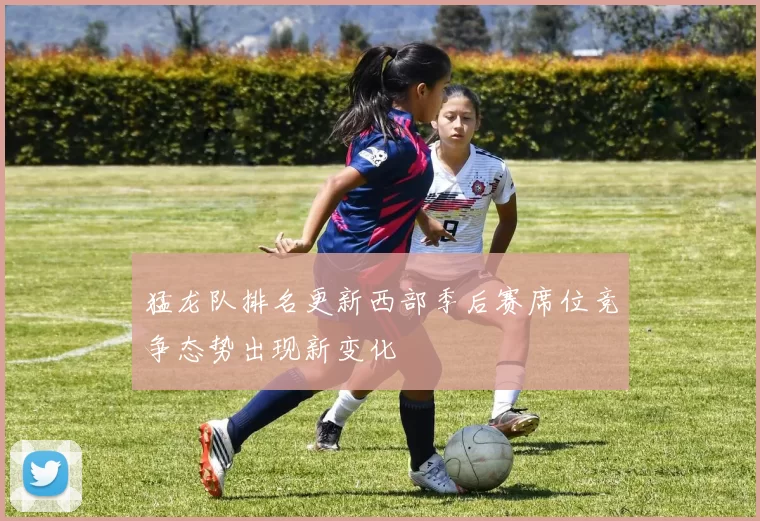 猛龙队排名更新西部季后赛席位竞争态势出现新变化