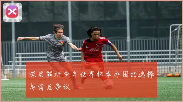 深度解析今年世界杯举办国的选择与背后争议