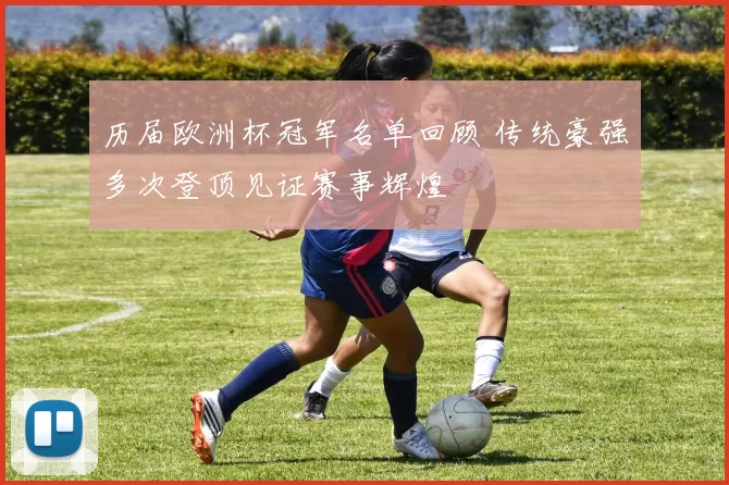 历届欧洲杯冠军名单回顾 传统豪强多次登顶见证赛事辉煌