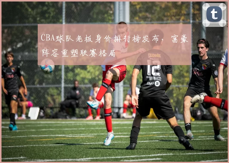 CBA球队老板身价排行榜发布,富豪阵容重塑联赛格局