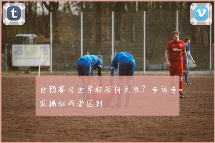 世预赛与世界杯有何关联?专访专家揭秘两者区别