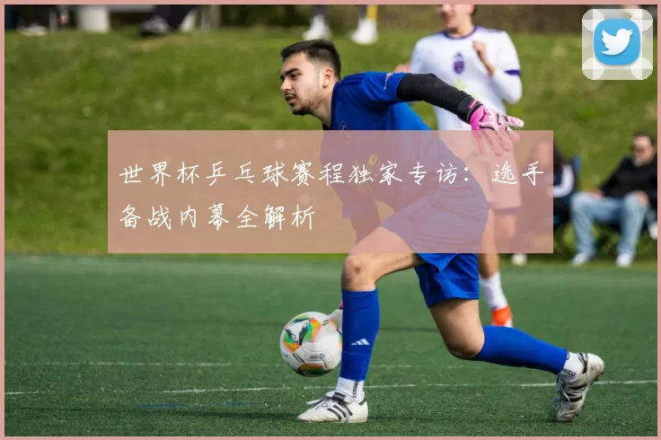 世界杯乒乓球赛程独家专访：选手备战内幕全解析