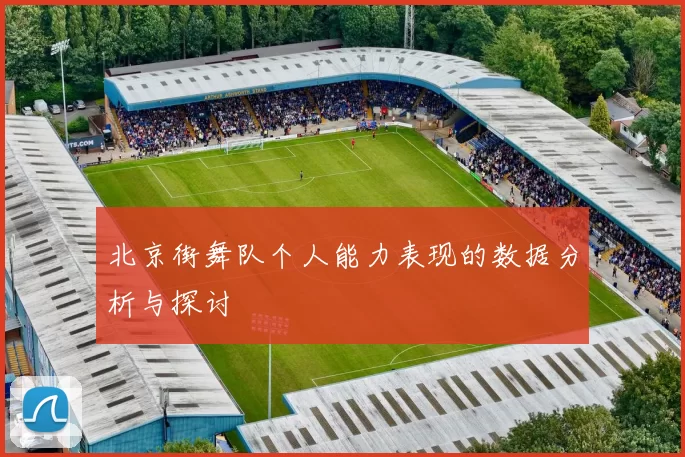 北京街舞队个人能力表现的数据分析与探讨