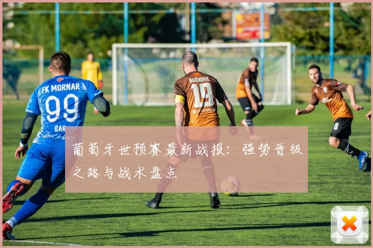 葡萄牙世预赛最新战报：强势晋级之路与战术盘点