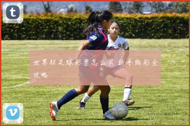 世界杯足球彩票怎么买 新手购彩全攻略