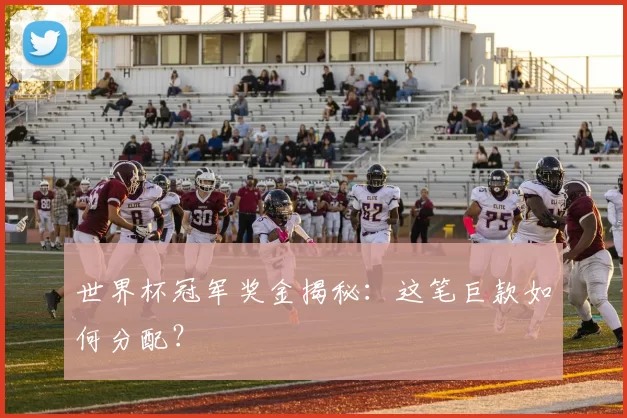 世界杯冠军奖金揭秘：这笔巨款如何分配？