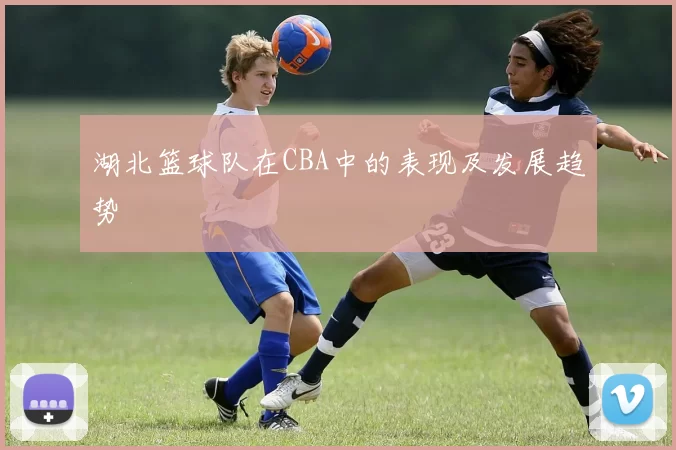 湖北篮球队在CBA中的表现及发展趋势