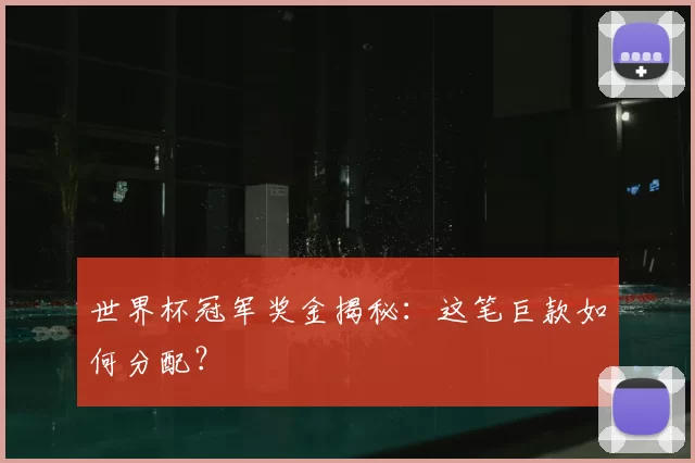 世界杯冠军奖金揭秘：这笔巨款如何分配？
