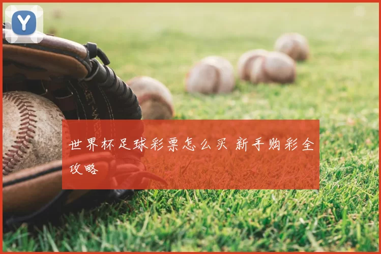 世界杯足球彩票怎么买 新手购彩全攻略