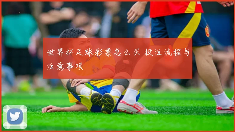 世界杯足球彩票怎么买 投注流程与注意事项