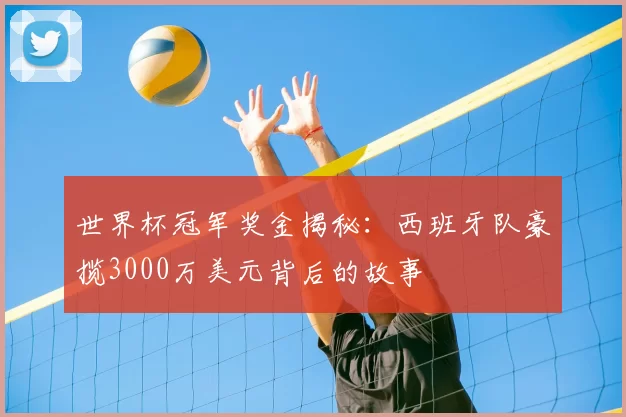 世界杯冠军奖金揭秘：西班牙队豪揽3000万美元背后的故事