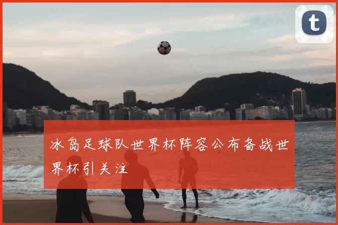 冰岛足球队世界杯阵容公布备战世界杯引关注