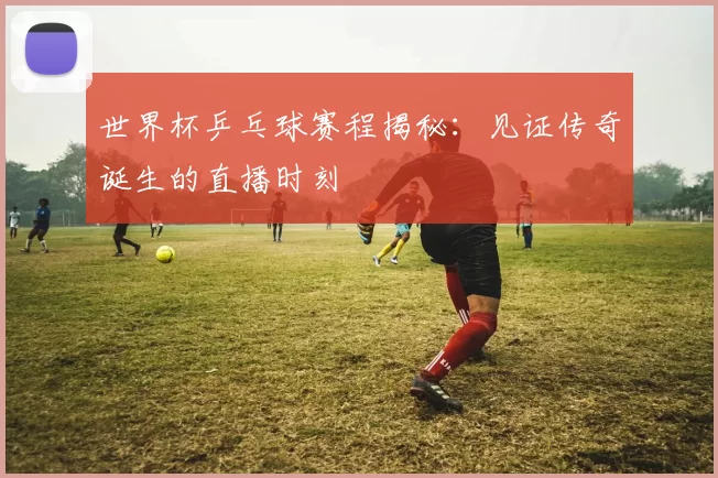 世界杯乒乓球赛程揭秘:见证传奇诞生的直播时刻