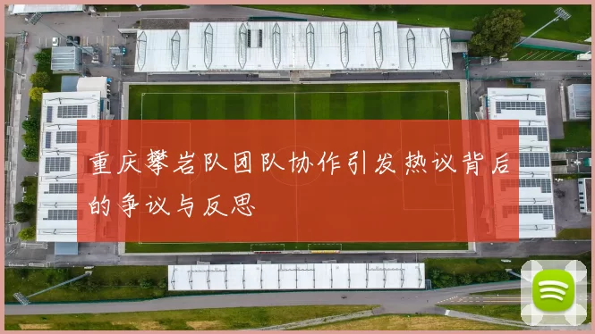 重庆攀岩队团队协作引发热议背后的争议与反思