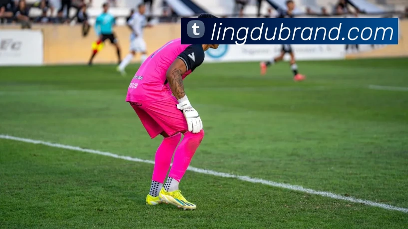 华体会app品牌故事