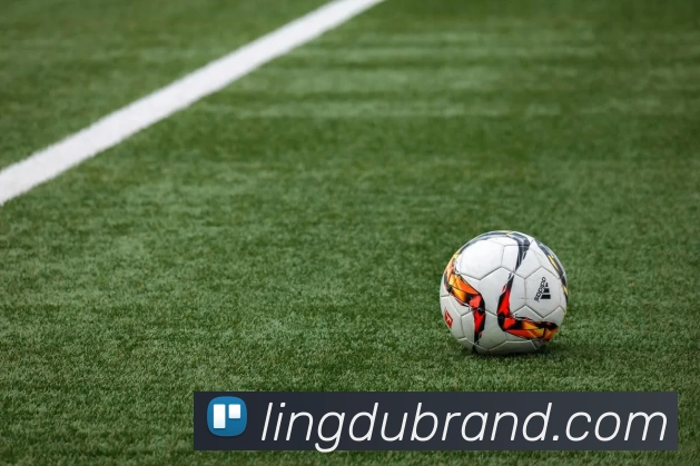 华体会app全站App